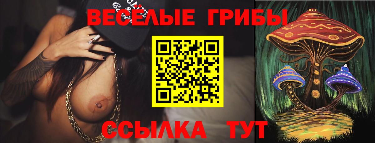 Янаул  купить наркоту  Вход с VPN  Галлюциногенные грибы Magic Shrooms 
